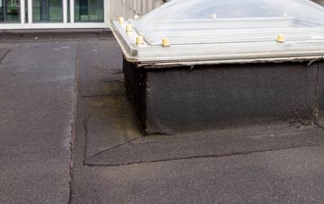 disadvantages of Elmstone Hardwicke flat roofs