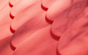 Elmstone Hardwicke plastic roof costs